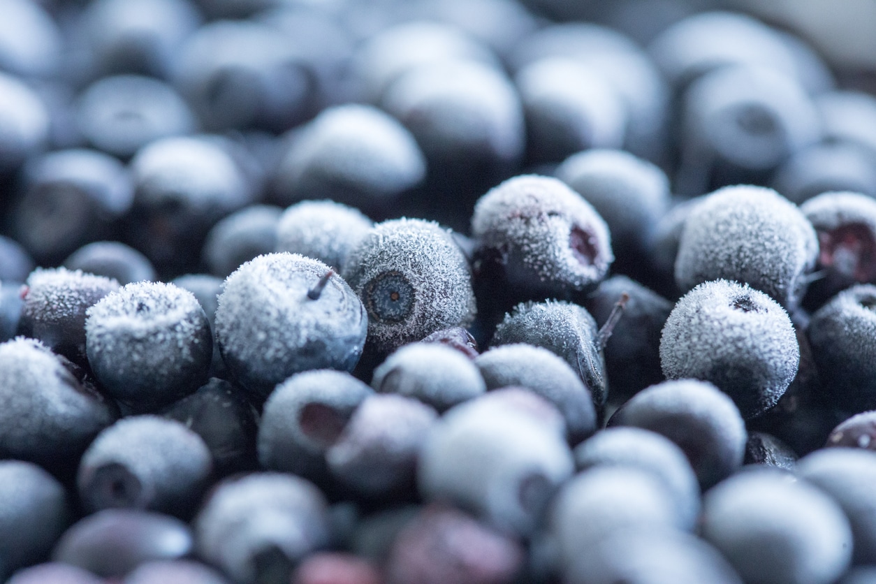 Publix frozen blueberries recalled by FDA now issued highest risk warning due to E. Coli strain