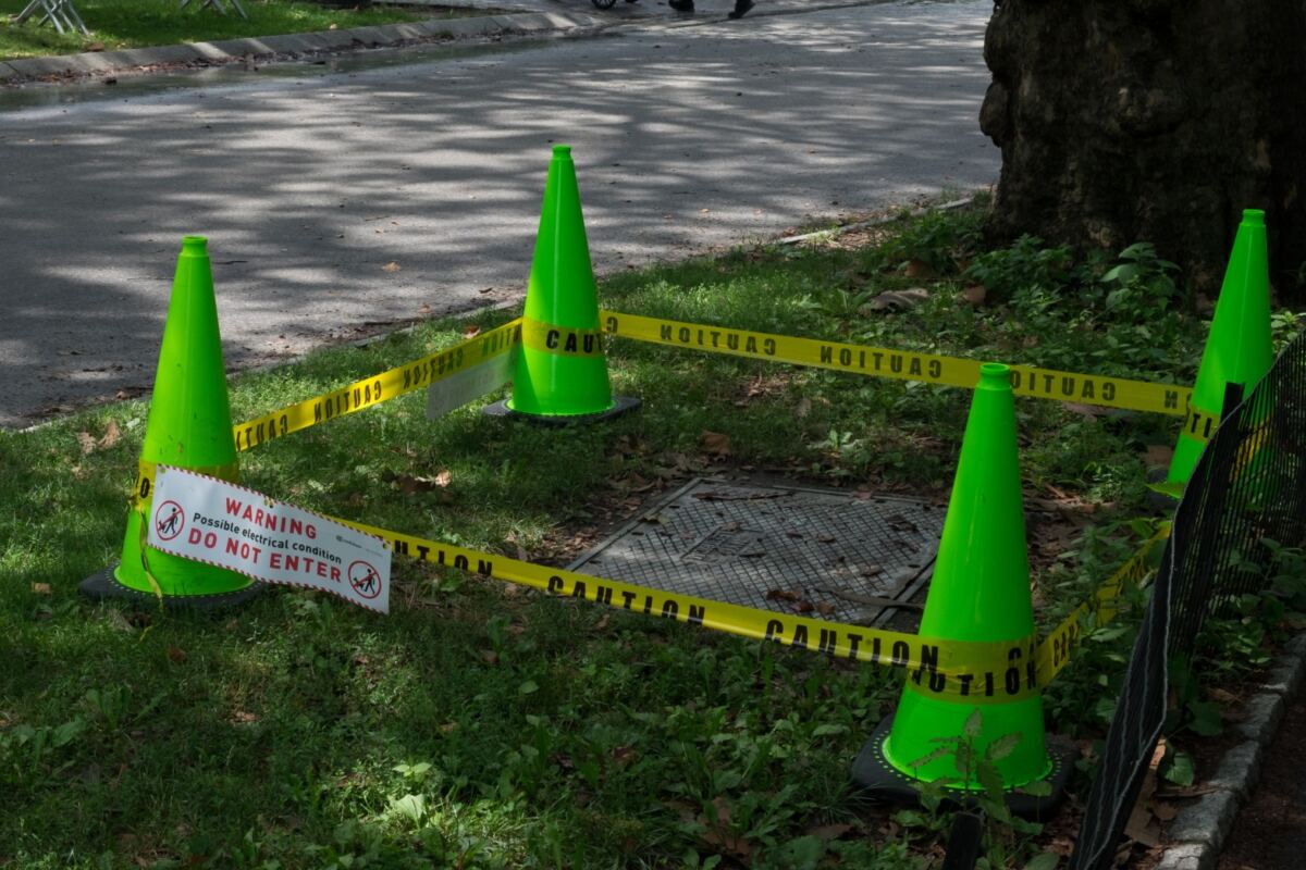 Family of teen killed in tragic Central Park horse and buggy mishap to sue NYC for $105M