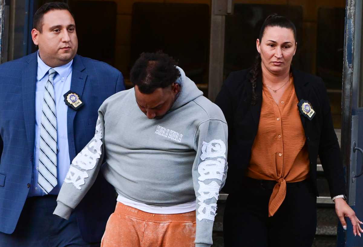Two gunmen facing 88 charges for NYC shooting that injured 8, killed puppy at July 4th cookout: DA