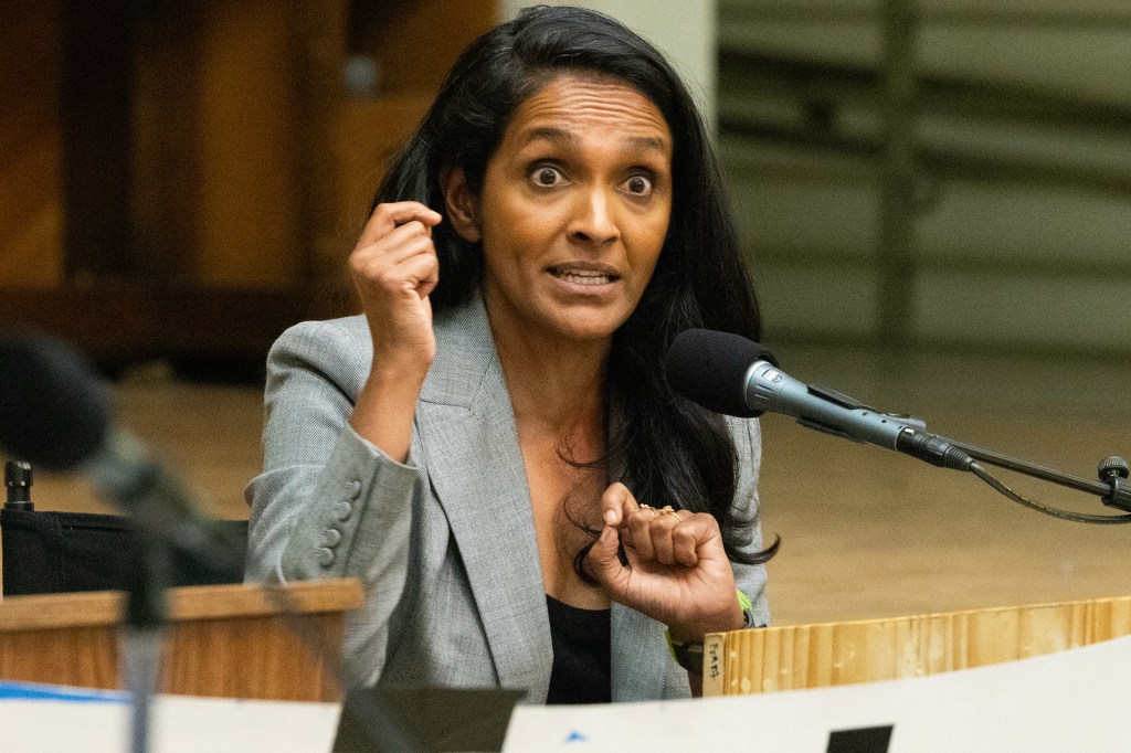 Nithya Raman roasted for boasting about paint job on mangled street: ‘Lipstick on a pig’