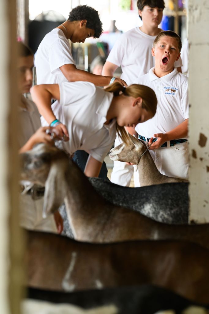 North Carolina warns petting zoo visitors of rabies exposure after baby goats test positive