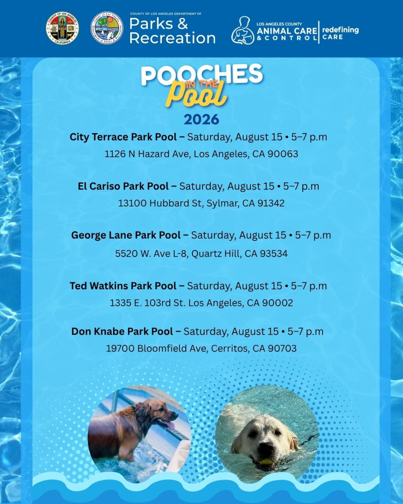 LA County pools are going to the dogs this weekend — with humans banned from the water
