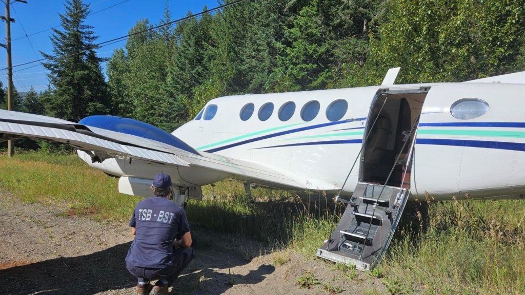 Mom of two killed in freak accident as plane making emergency landing hits her car