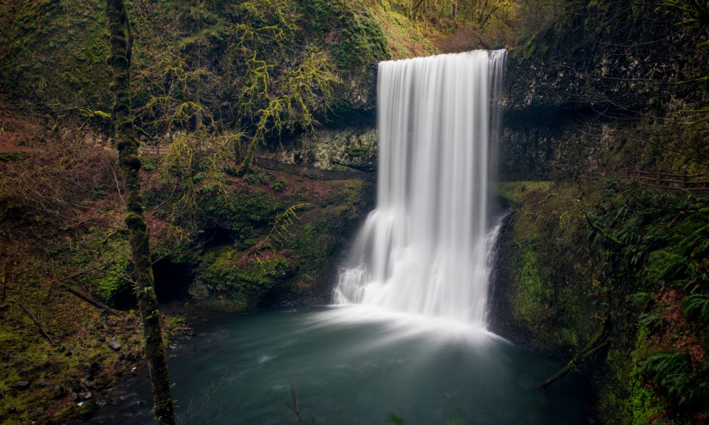 Tourist dies after falling 170 feet from waterfall at Silver Falls State Park while posing for pictures