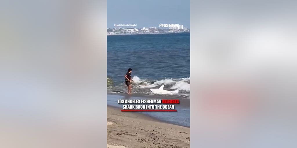 Moment unbothered fisherman drags huge shark back into the ocean on LA beach