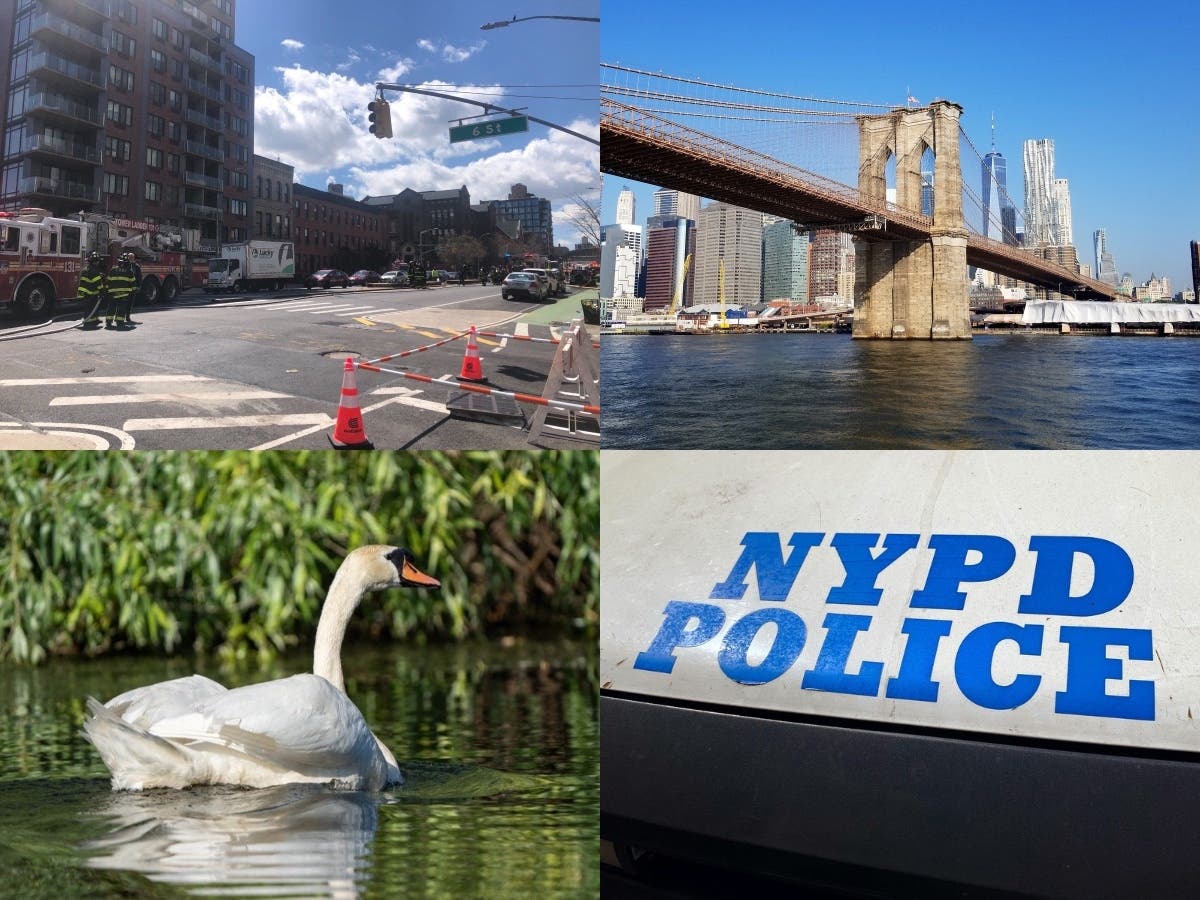 Naked nutjob jumps from Brooklyn Bridge after erecting flags