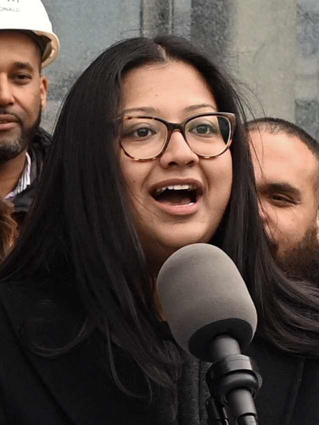The wacky — and dangerous — NYC bills that could soon be law: Sick leave for pets, abolished gang database and an elephant ban