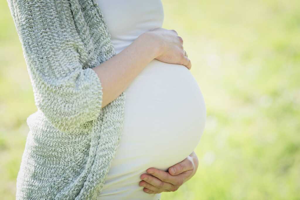 A surrogate mother refusing to abort her baby despite biological parents' demands.
