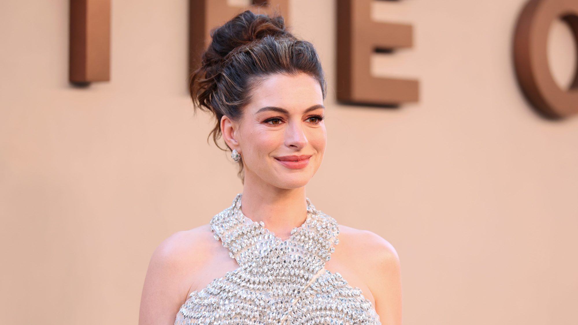 OF OFOOK K ST-TET ST Anne Hathaway says any movie that kills a dog should automatically be rated R: