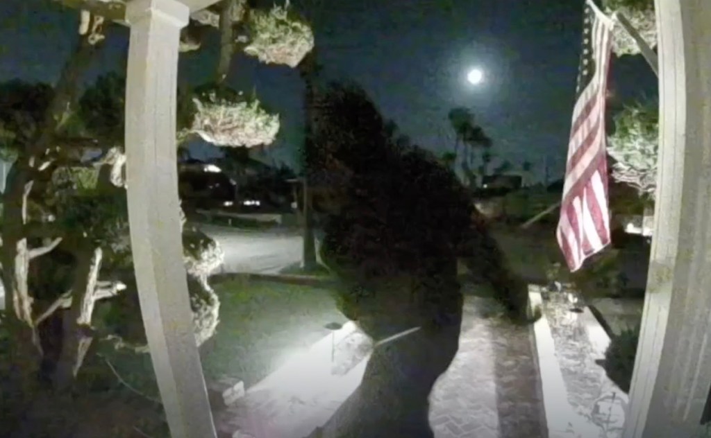 Brainless TikTok trend causes $2,000 in damage to SoCal home