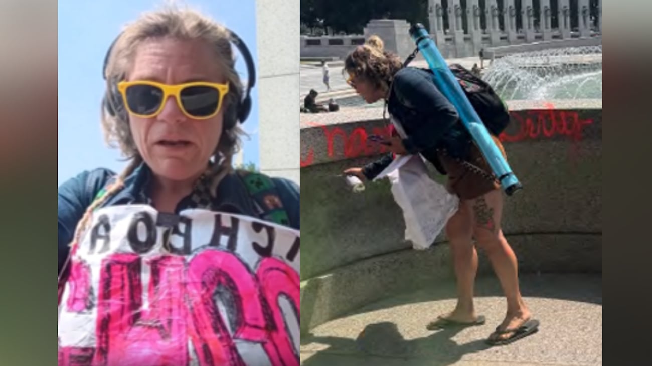 Trump blames vandals for dead grass on National Mall where he hosted 4th of July celebration
