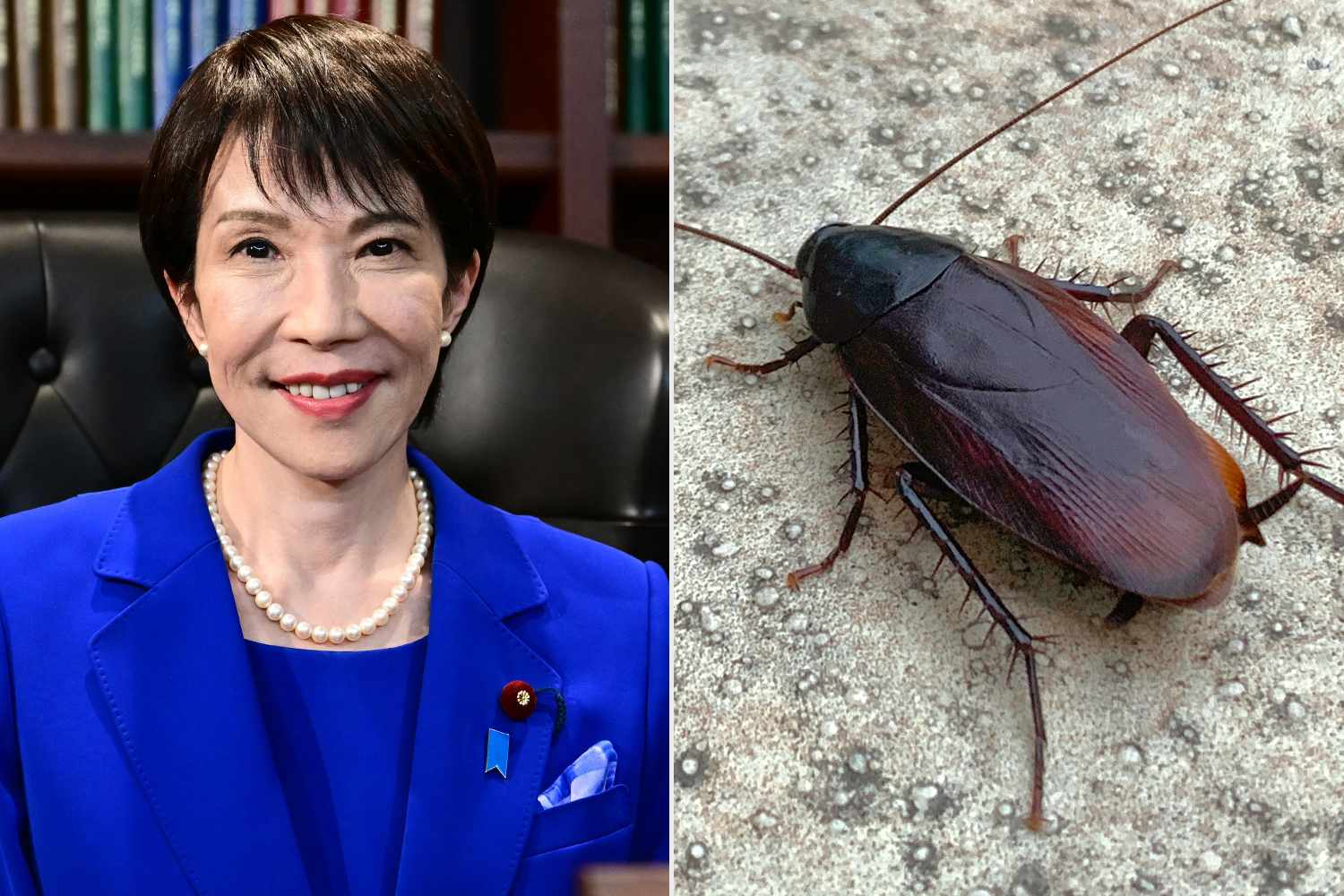 Japanese PM Sanae Takaichi reveals she felt 'lonely' when staff exterminated residence cockroach