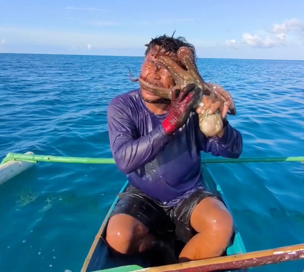 Wild video shows octopus latching onto fisherman’s face before he clubs it to break free