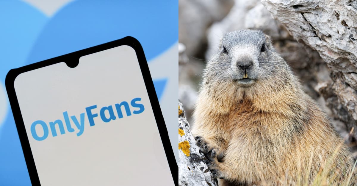 Daniel Blumstein, ecologist leading the UCLA marmot research project