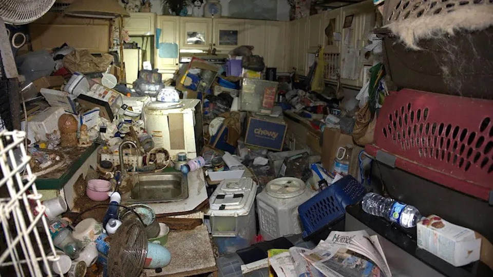 Hoarder mail carrier trapped over 100 cats, dogs stolen from her route in feces-filled Florida house of horrors
