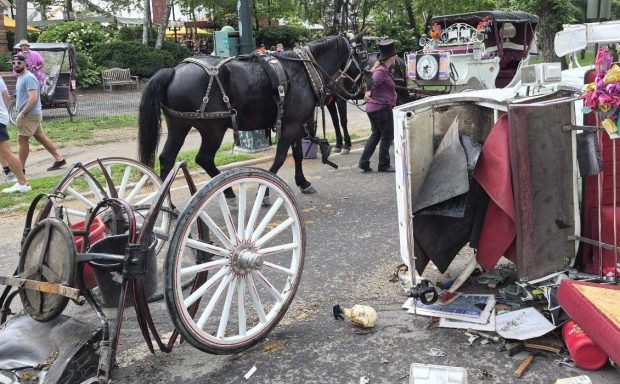 Family of teen killed in tragic Central Park horse and buggy mishap to sue NYC for $105M