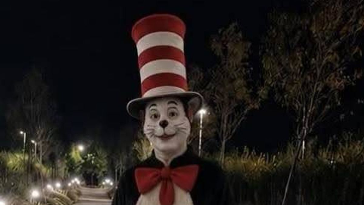 Police forced to issue statement after 'Cat in the Hat' pictured terrorising streets