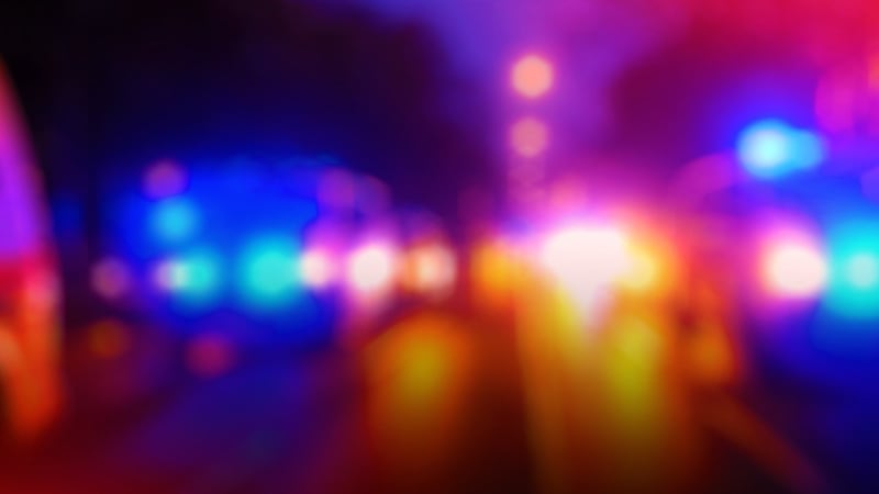 Florida men fight over love interest with hatchet, machete in Publix parking lot