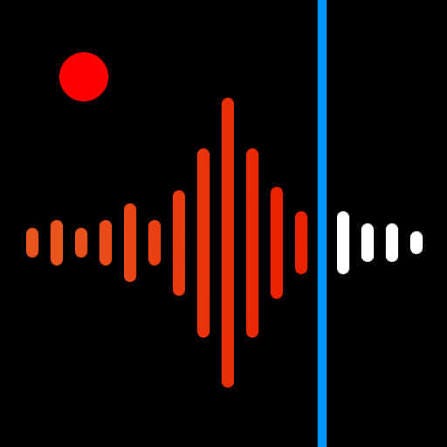 Brazen bachelor demands sex on second date in jaw-dropping audio message: ‘That made me want to vomit’