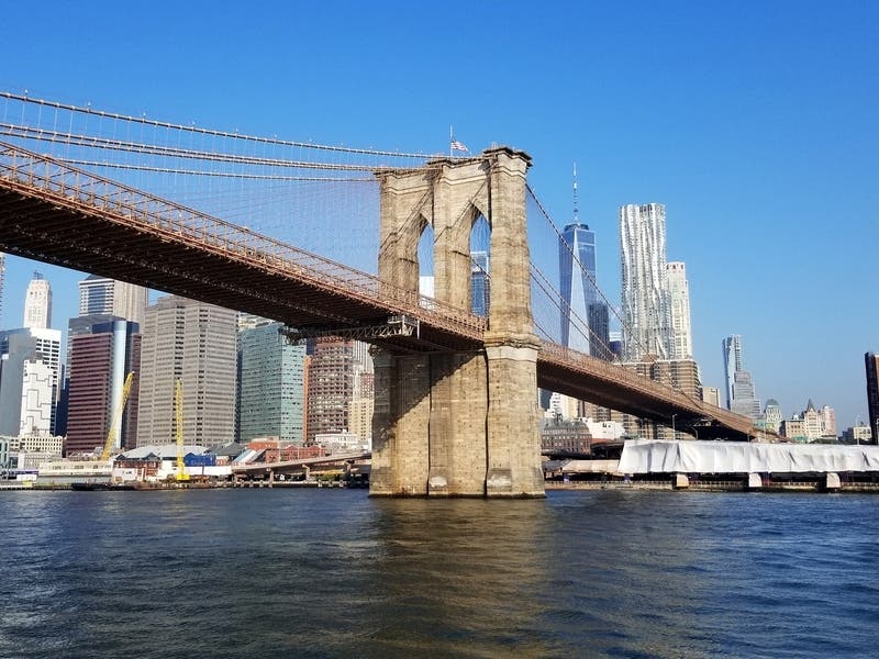 Naked nutjob jumps from Brooklyn Bridge after erecting flags