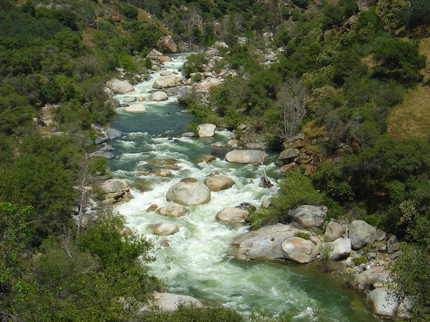 National Park Service staff and rangers at Sequoia National Park