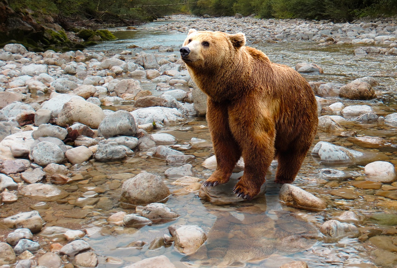A bear fishing near a boat in Alaska's waters