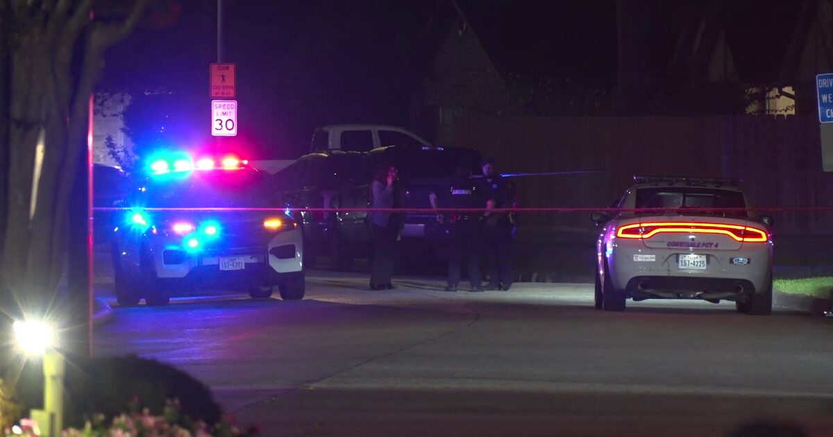 Texas woman killed by maniac gunman after domestic fight spins out of control
