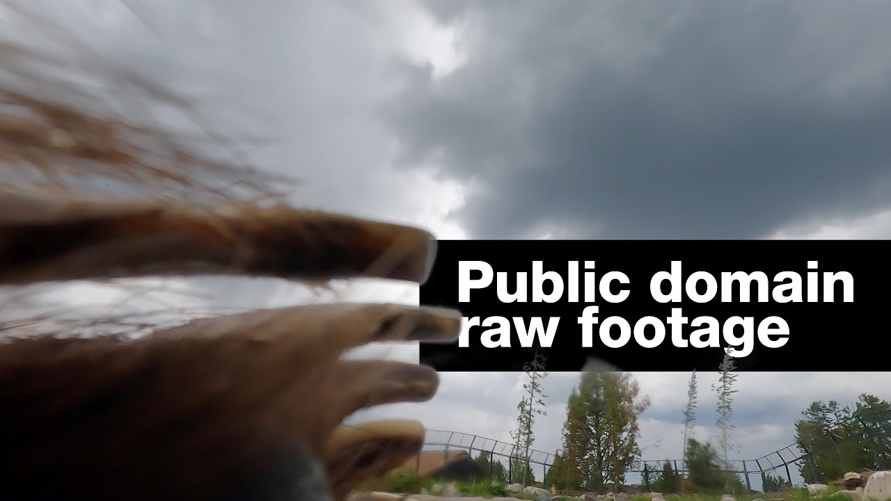 An Alaska fishing charter in grizzly bear habitat