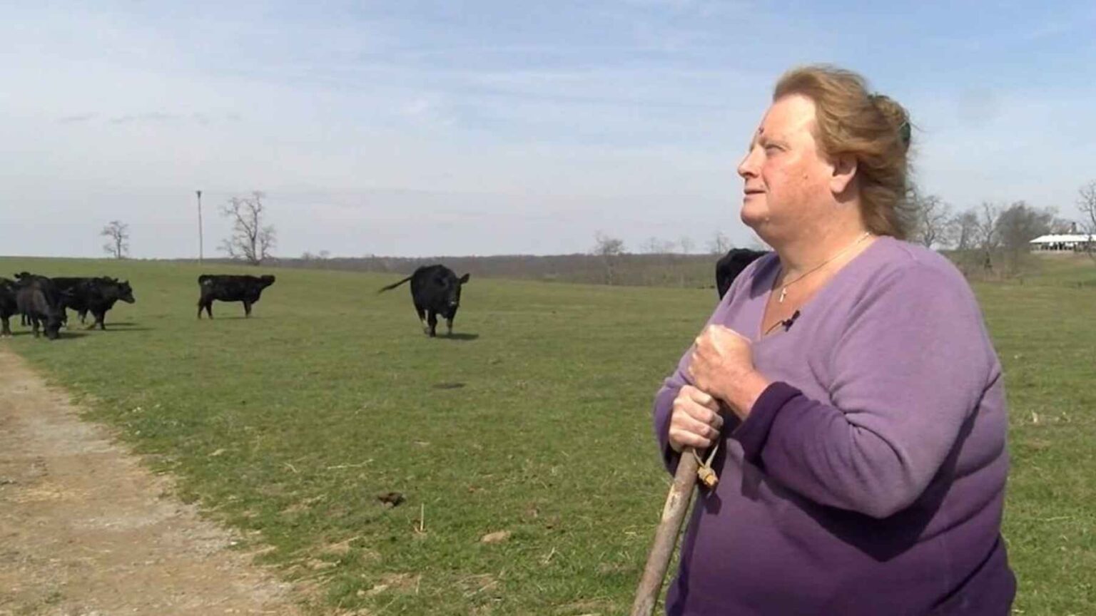 Farmer owner has blunt six-word response to $26 million offer to convert their land into data center