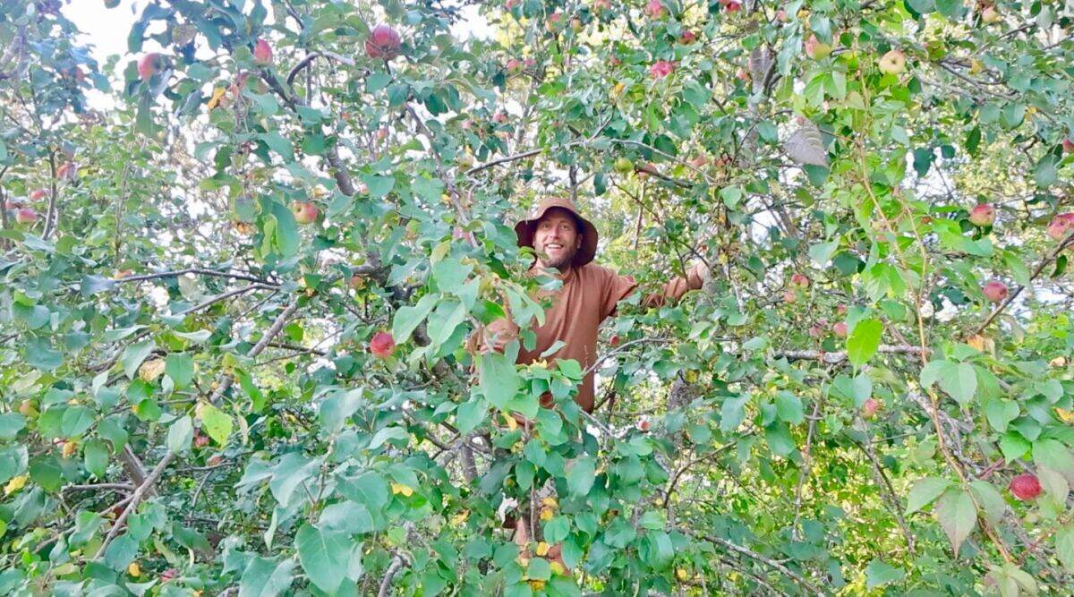 I'm foraging and won't spend a cent on food for whole year - it brings both joy and mercury poisoning
