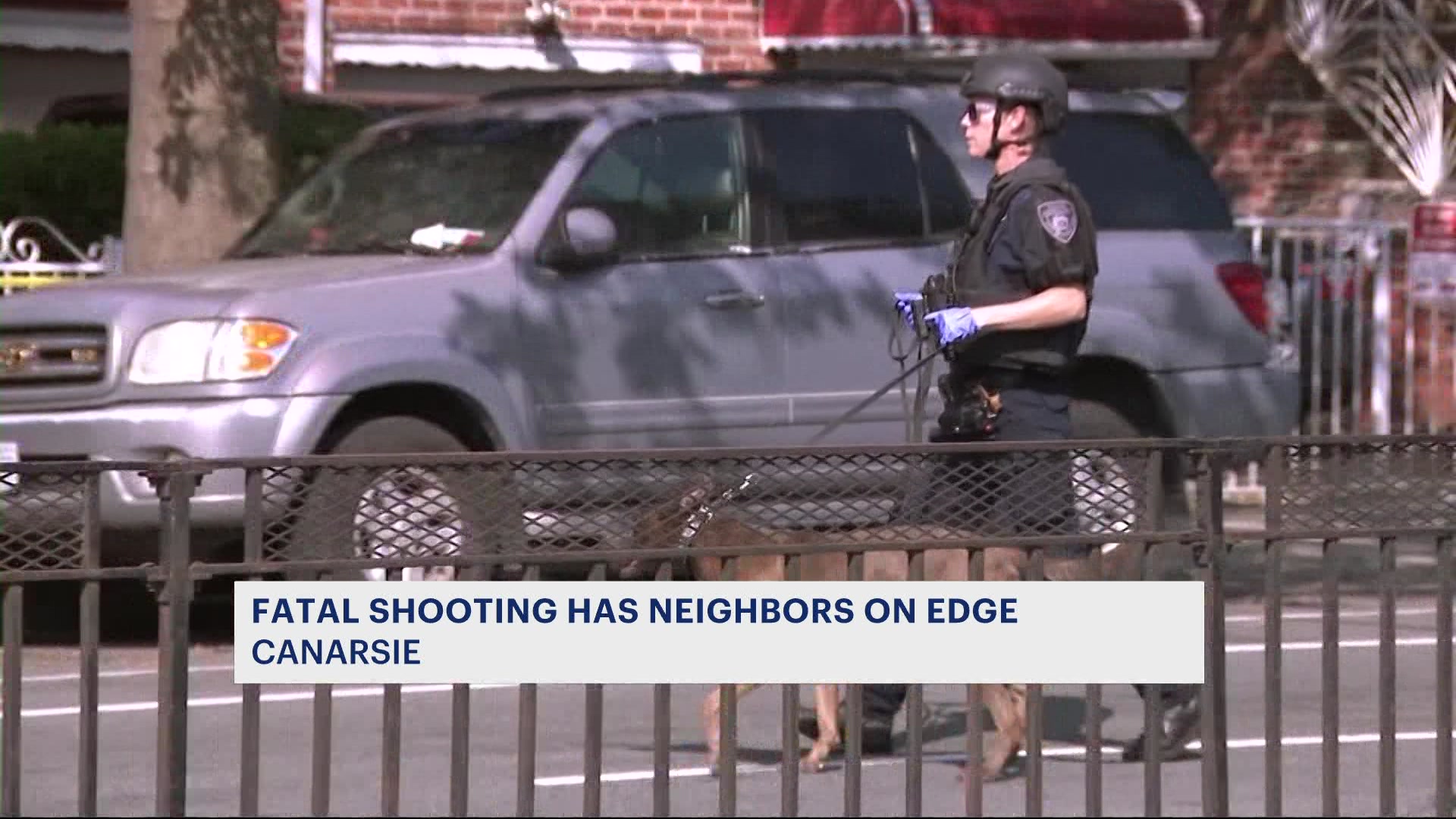Man, 30, shot dead in hail of bullets at NYC pier: cops