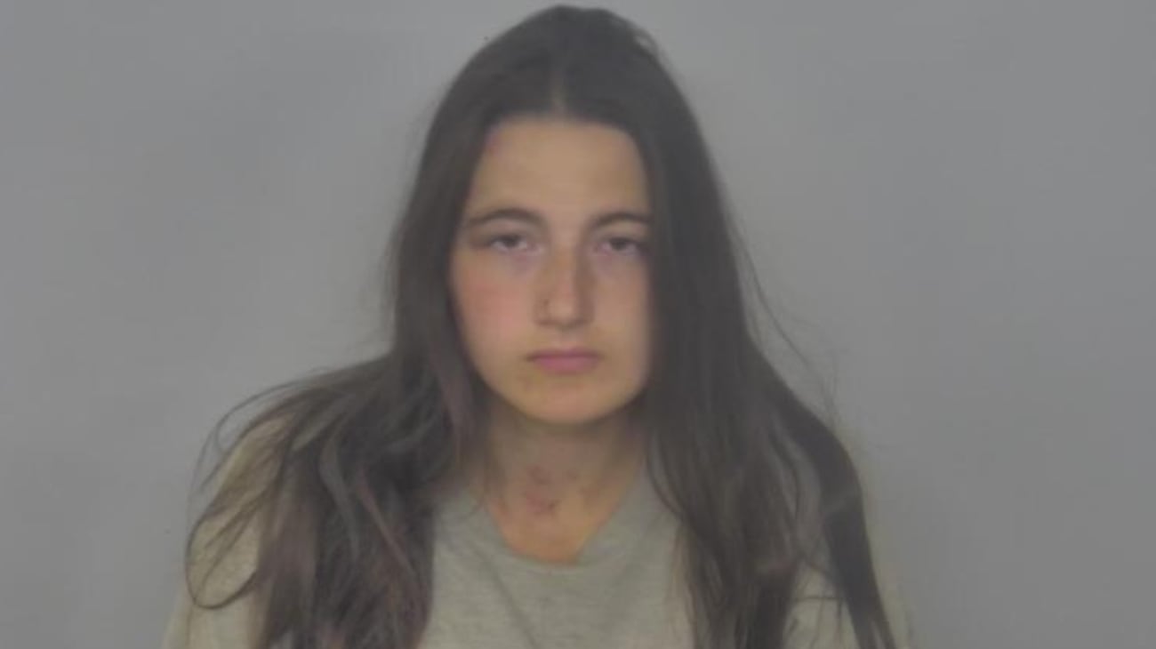 North Dakota mom hacks her 2 kids to death in ‘horrific’ bloody rampage: cops