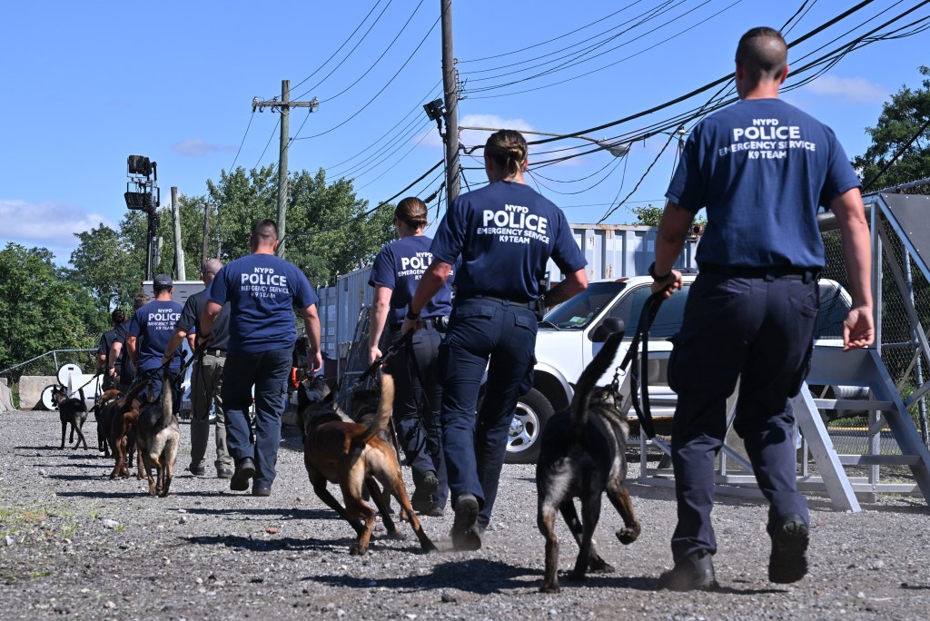 NYPD canines with touching 9/11 tie train for new elite mission