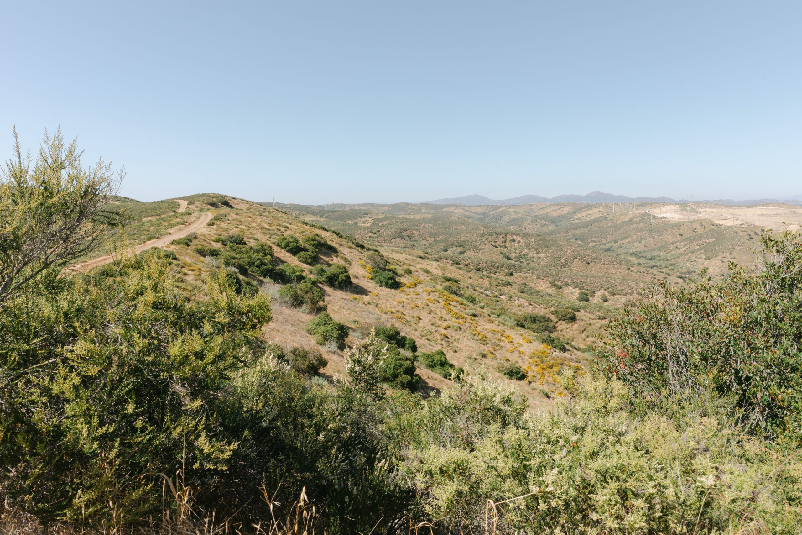 Warning sign posted at Mission Trails park
