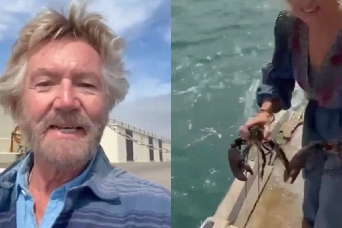 Noel Edmonds and wife called out after buying live lobsters from shop and releasing them into sea
