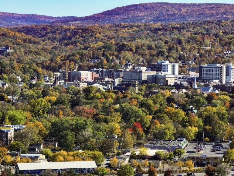 Cornell bans wild game butchering after students carved up bear in dorm kitchen