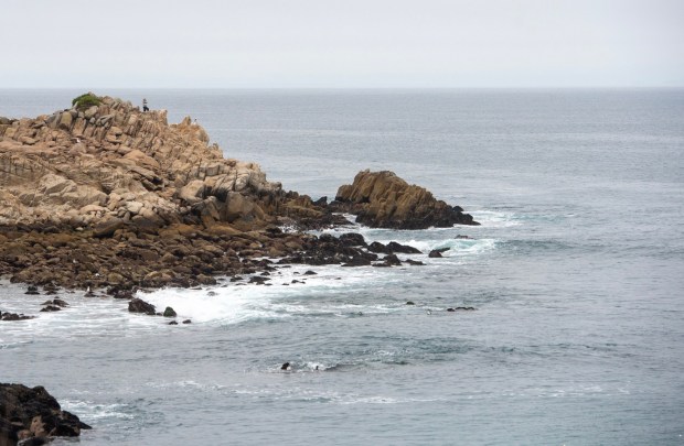 Erica Fox, co-founder of the open water swimming group Kelp Krawlers