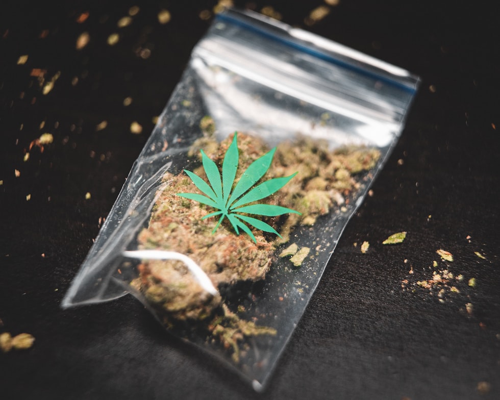Governor Kathy Hochul signing cannabis policy