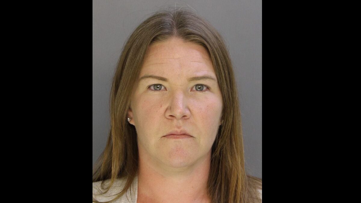 NJ Babysitter Accused of Child Sex Assault Appears in Pink Handcuffs as Prosecutor Signals Possible Plea Deal