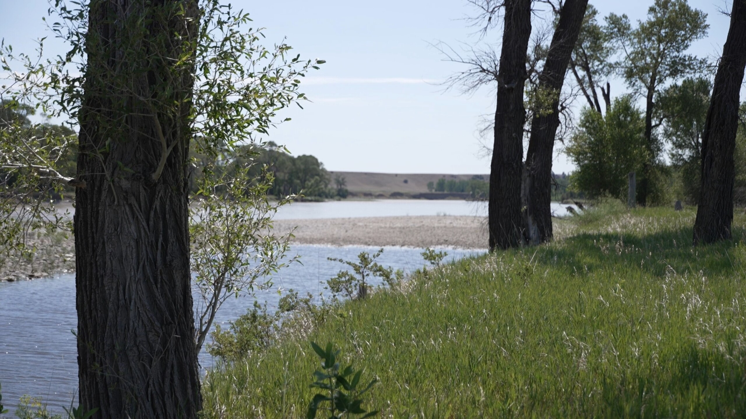 Montana boy, 14, uses rodeo lasso to rescue man drowning in Yellowstone River: ‘Go get him’