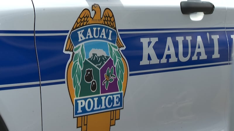Thomas Cook, Maui County Council member who took out a temporary restraining order against Basin