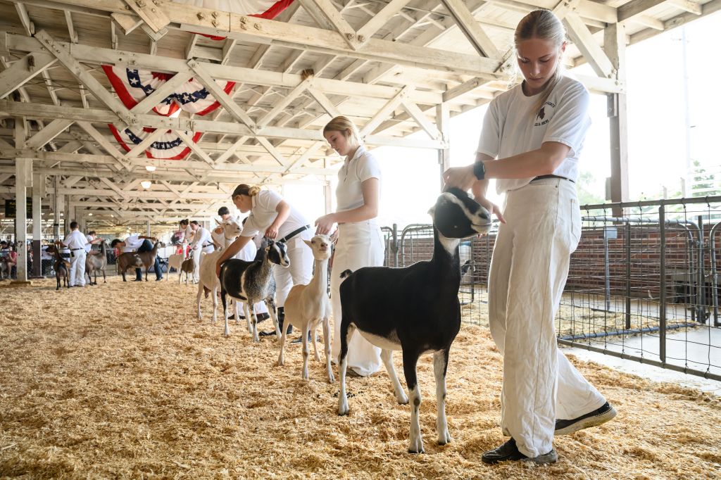 North Carolina warns petting zoo visitors of rabies exposure after baby goats test positive