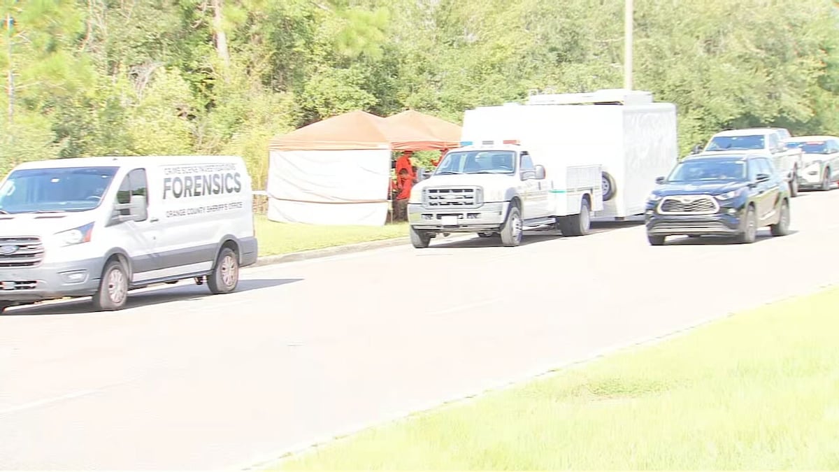 Woman attacked by alligator while swimming in Florida waters