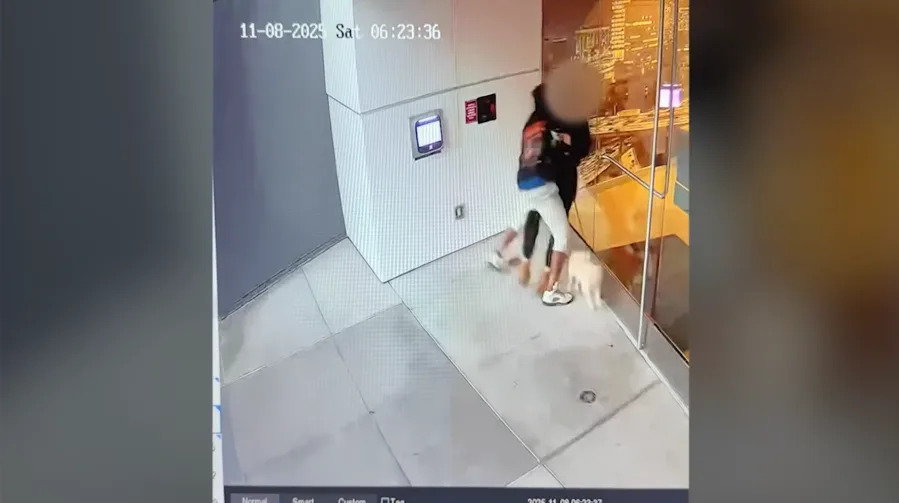 Search for sicko accused of sexually assaulting woman after following her home from Los Angeles gym