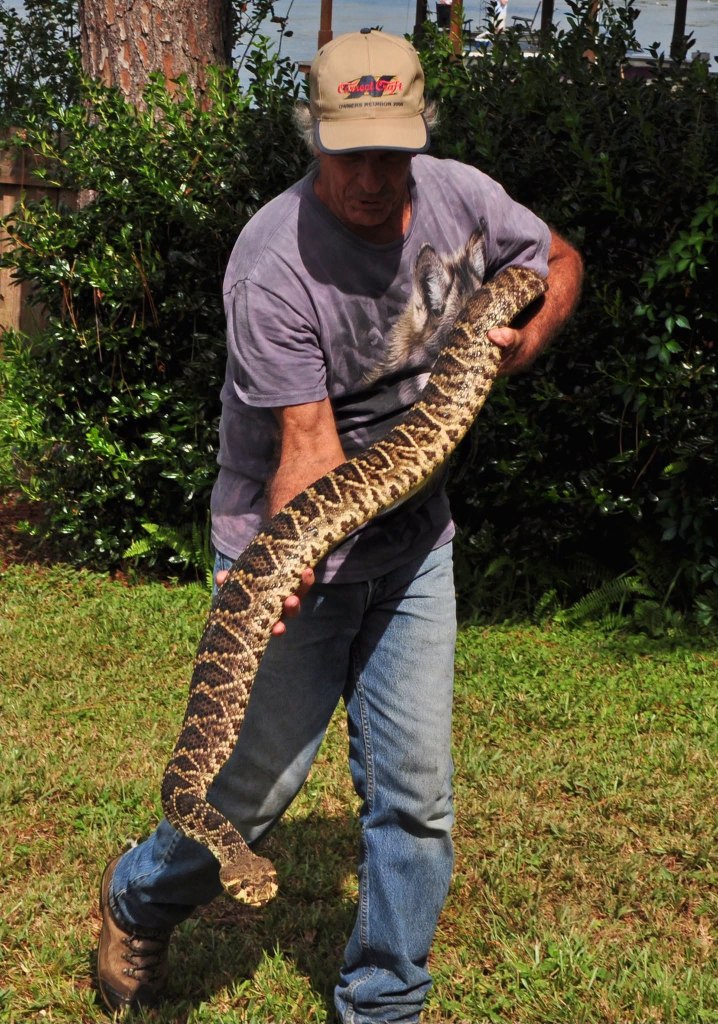 Animal Planet star killed in hit and run while looking at snake
