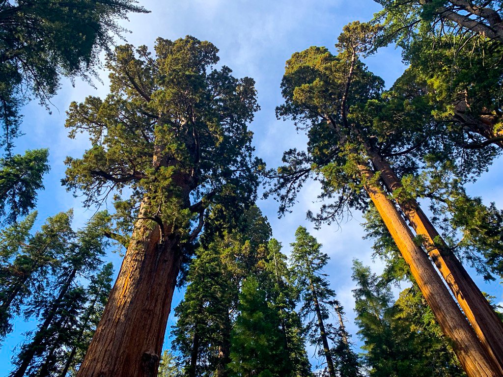 Police make pair of horrifying discoveries just miles in apart in Northern California