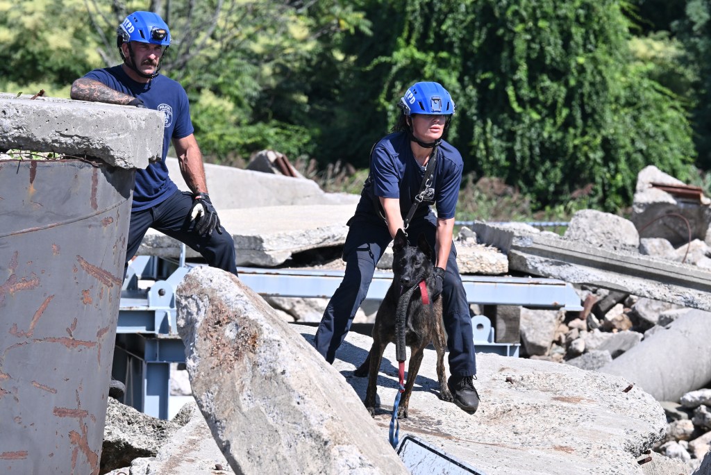 NYPD canines with touching 9/11 tie train for new elite mission