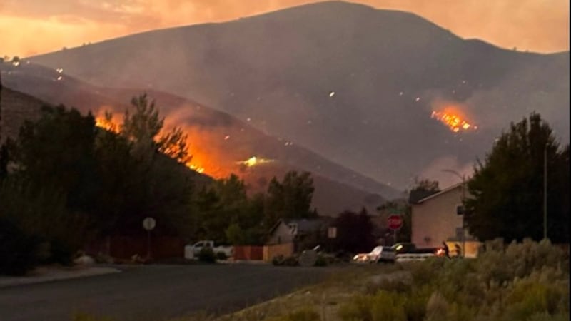 Two massive wildfires converge to rip across 44,000 acres on California-Nevada border as evacuations underway
