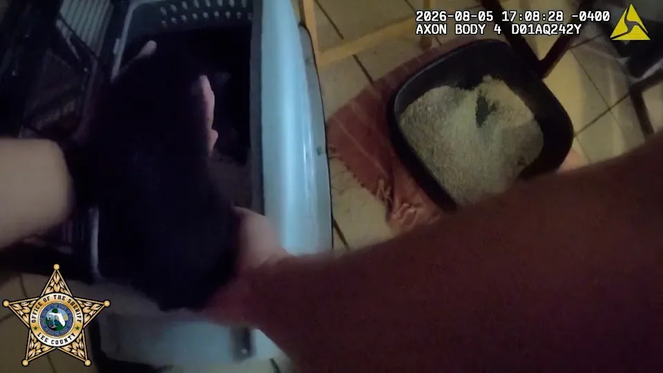 Man arrested for allegedly killing 2 cats, almost drowing another in twisted punishment for daughter