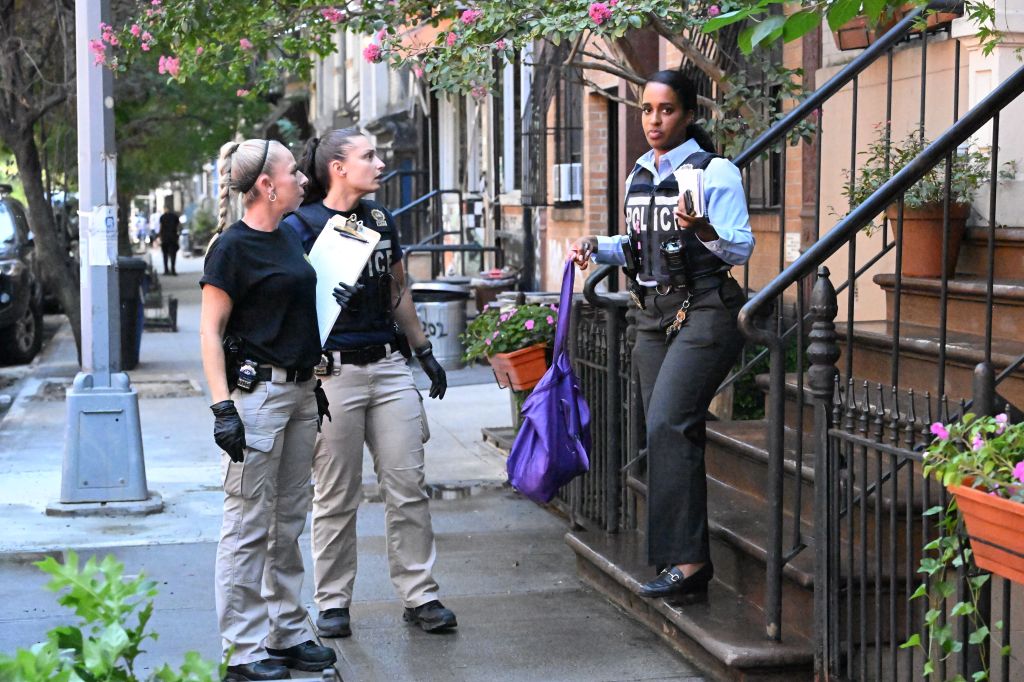 Homeless perv busted for sexually motivated burglary of NYC home: cops